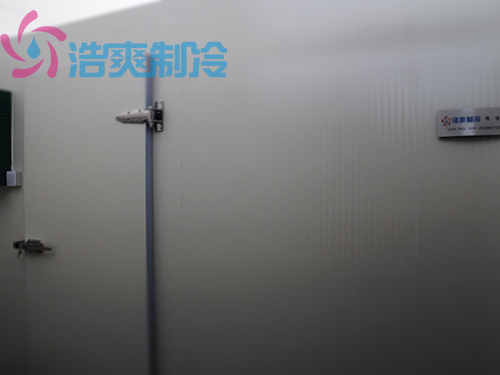 中型醫藥冷庫建造